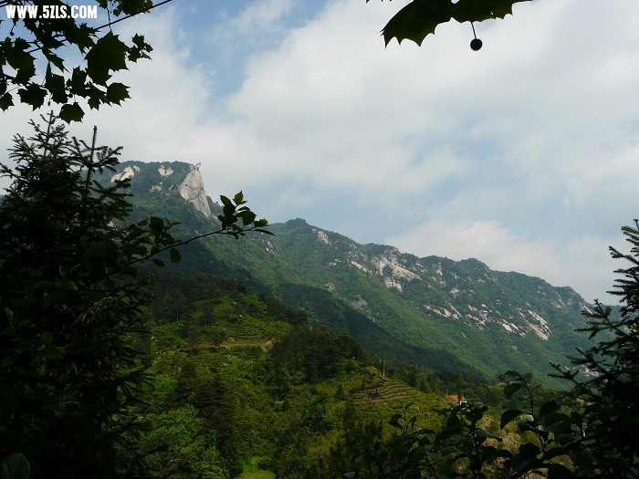 P1130632.jpg