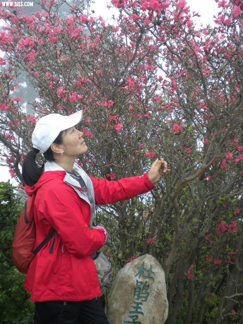 Ƭ 075.jpg