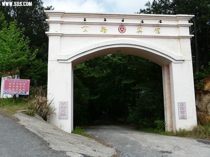 P1130635.jpg