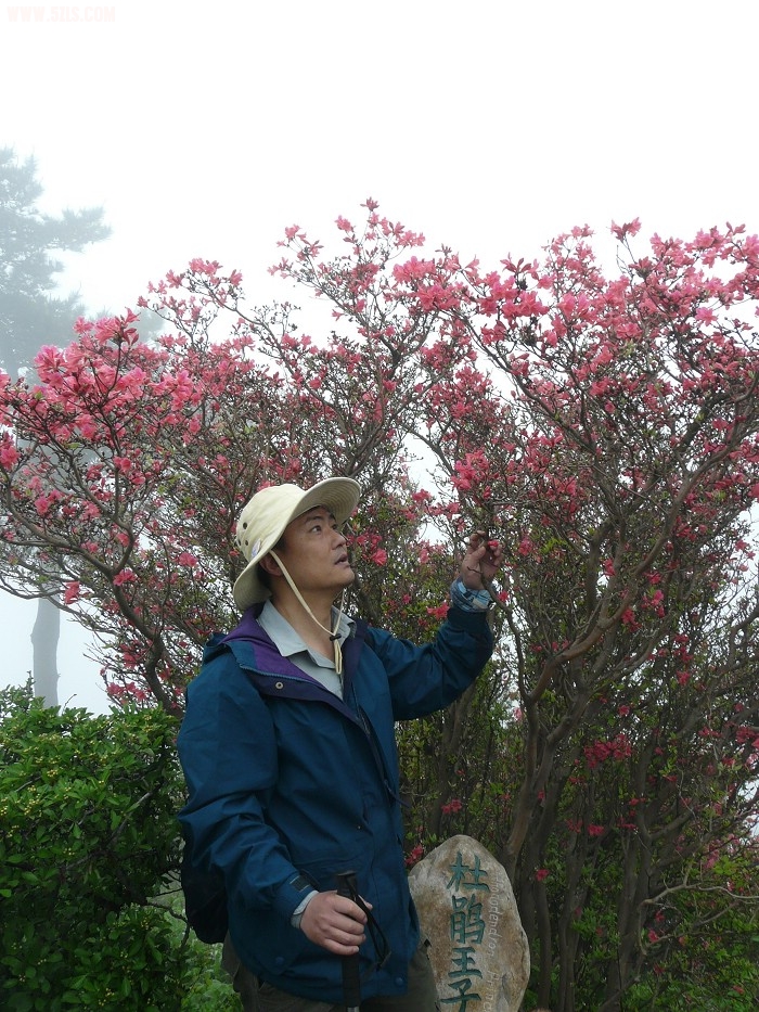 P1130594.jpg