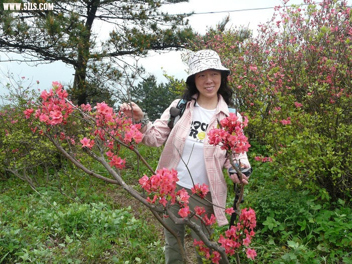 P1130577.jpg