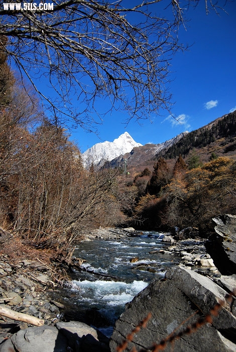 DSC_00591.jpg