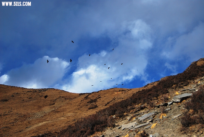 DSC_0123.jpg