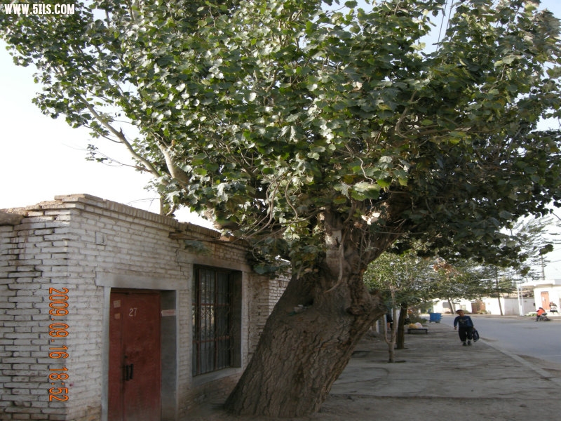 DSCN3506.JPG