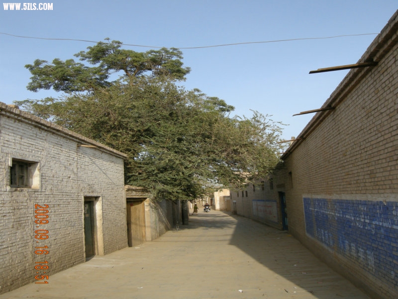 DSCN3505.JPG