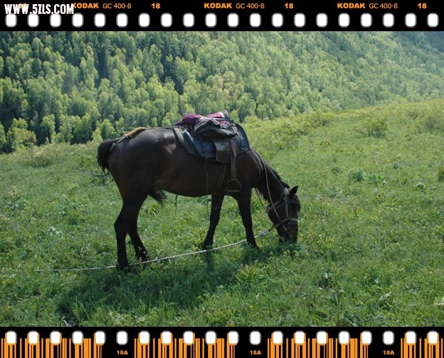 DSC_6394.jpg