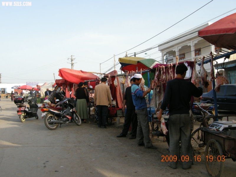 DSCN3520.JPG