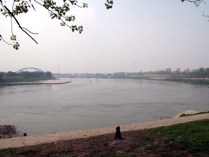 DSCF0107.JPG