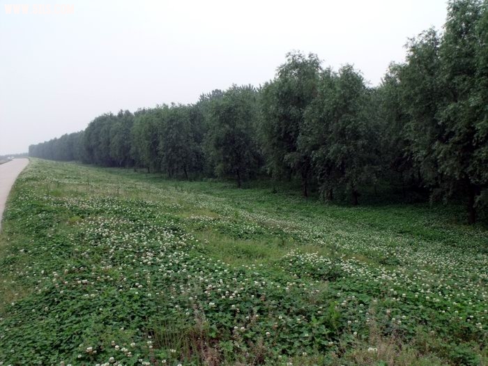 DSCF0236.JPG