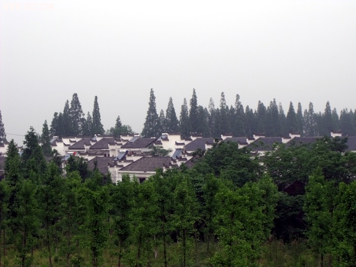 DSCF0256.JPG