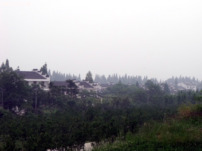 DSCF0260.JPG