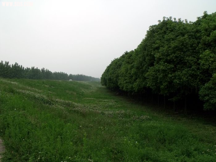 DSCF0252.JPG
