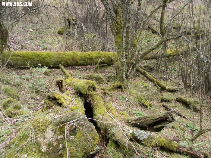 DSCN0508.jpg