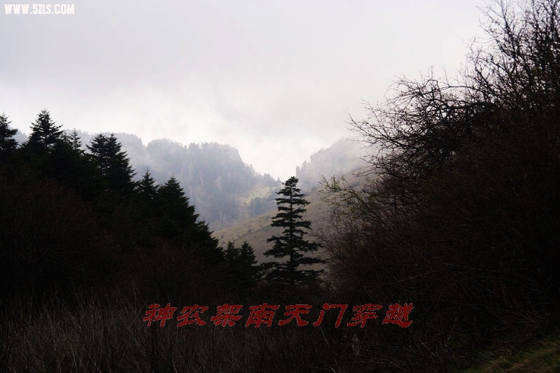 nEO_IMG_2010ũŴԽ0029.jpg