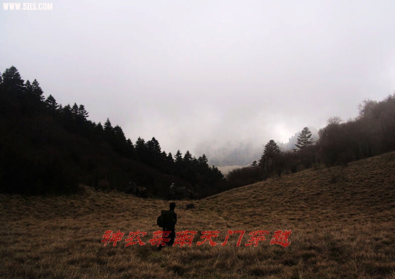nEO_IMG_2010ũŴԽ0028.jpg