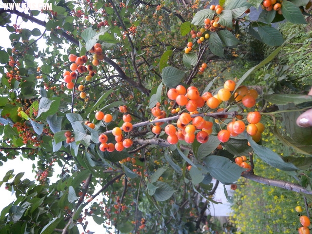 DSCN1789.jpg
