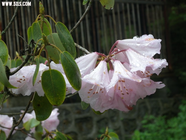DSCN1808.jpg