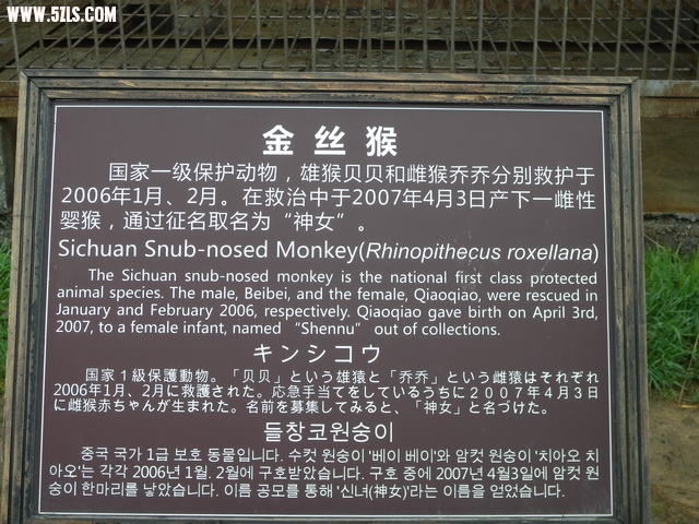 DSCN1810.jpg