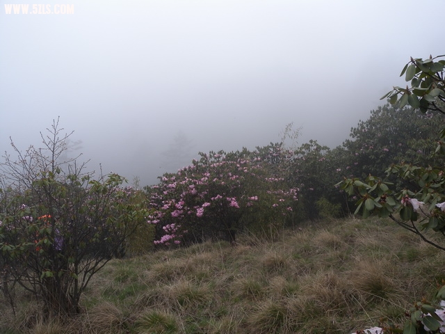 DSCN1829.jpg