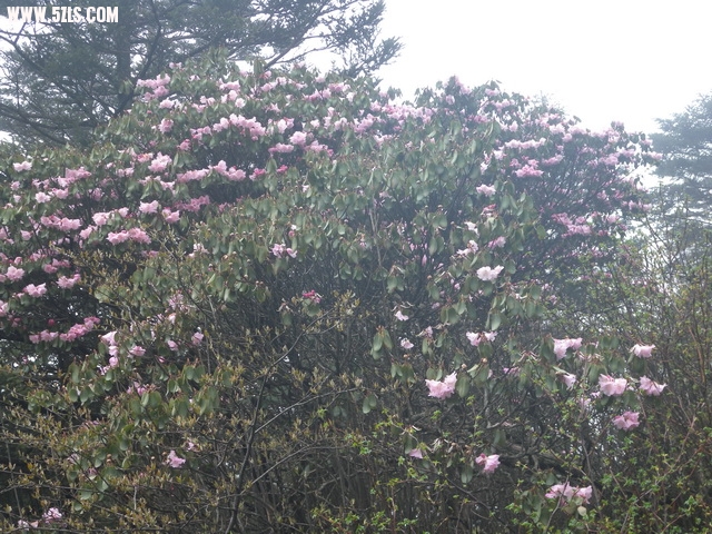 DSCN1854.jpg