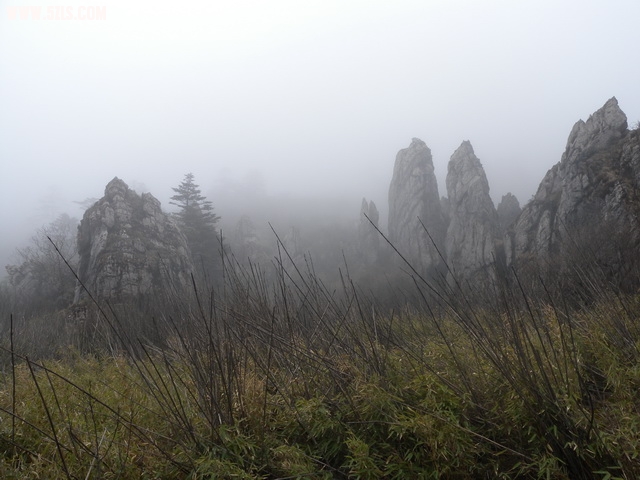 DSCN1851.jpg