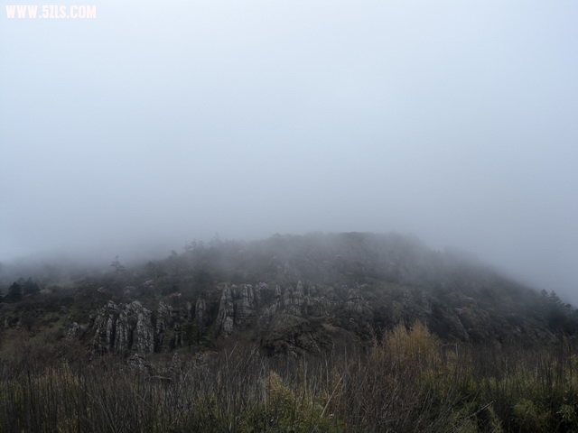 DSCN1847.jpg