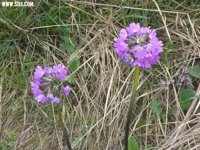 DSCN1839.jpg