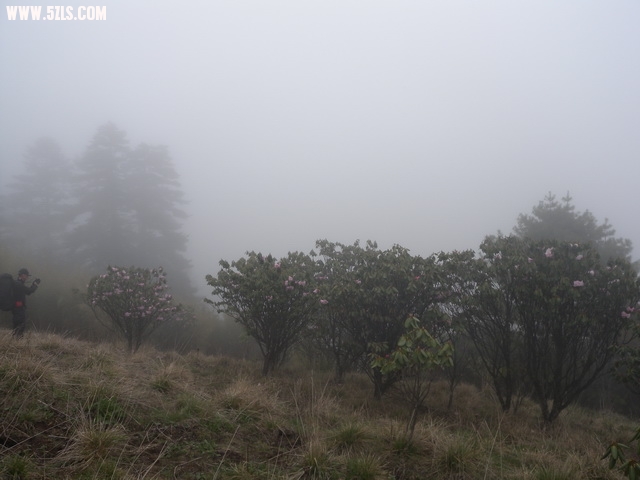 DSCN1832.jpg