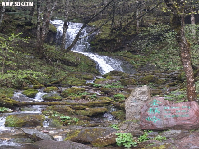 DSCN1816.jpg