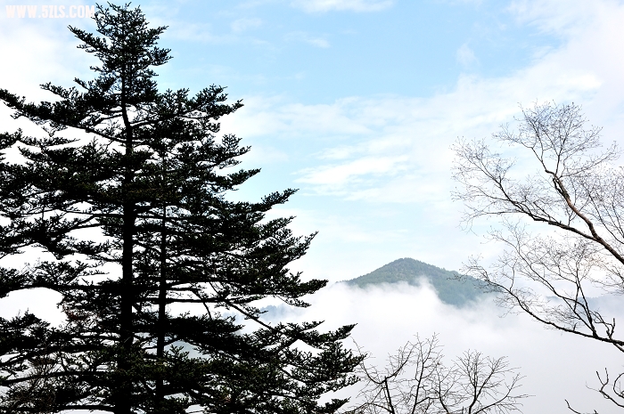 DSC_0142-1.jpg