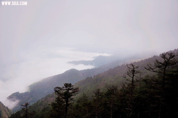 DSC_0180-1.jpg