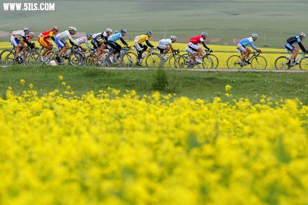TDQL09_Stage05_02.jpg