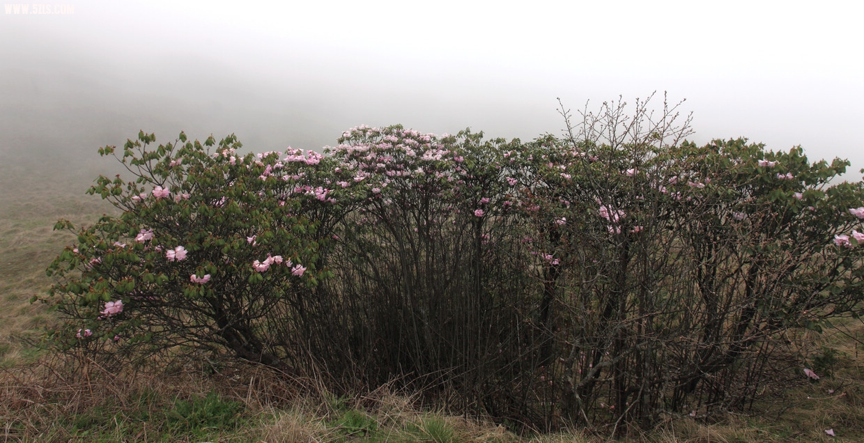 DPP_0028-.jpg