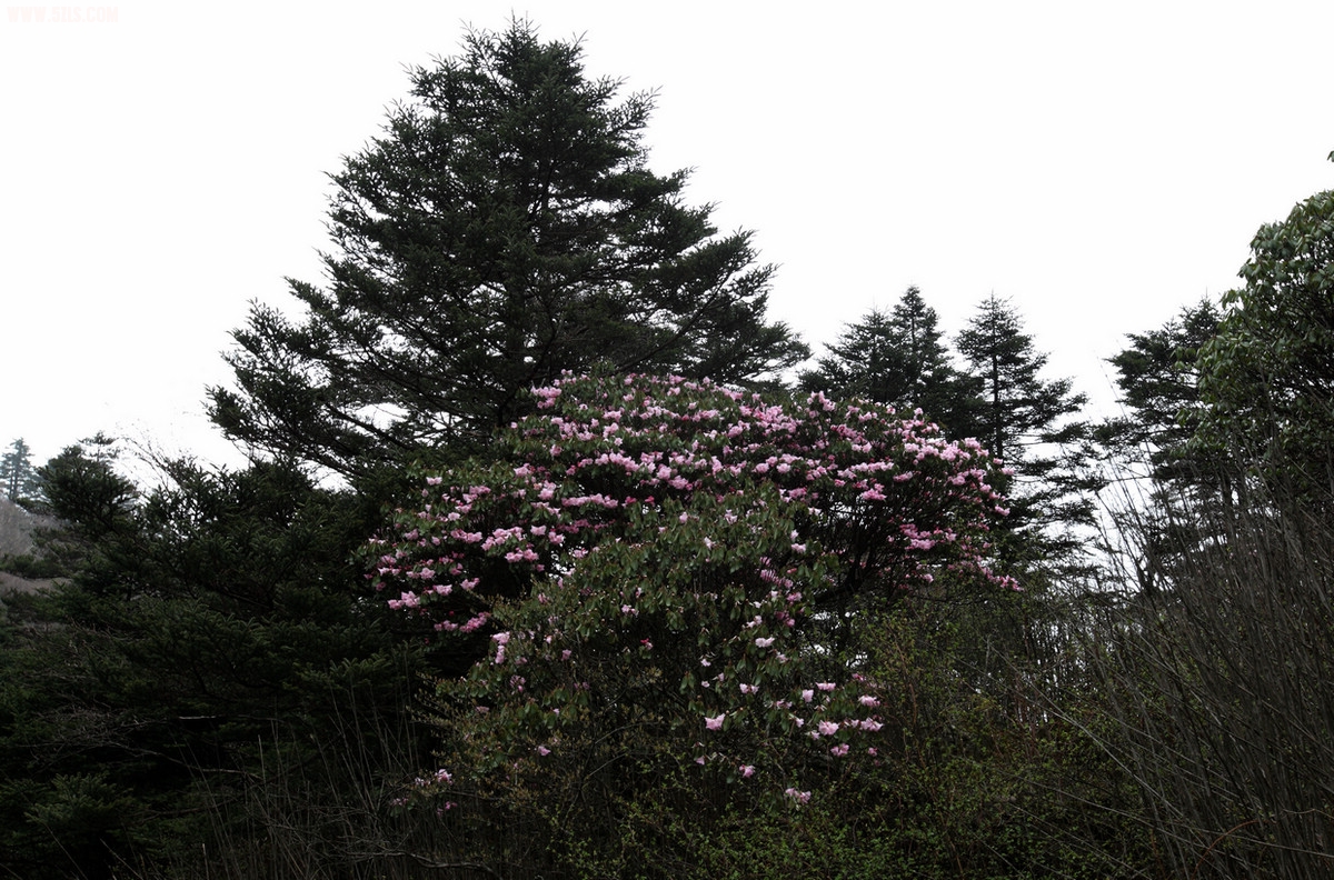 DPP_0058-.jpg