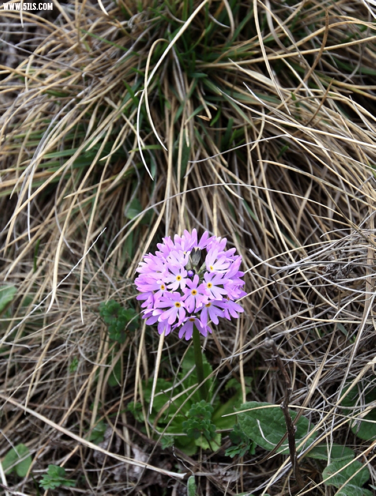 DPP_0089-.jpg