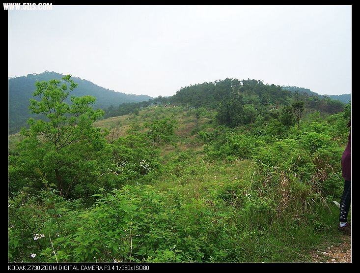 201051817144328565.jpg