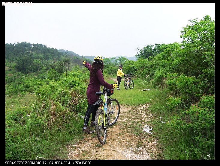 201051817143616282.jpg