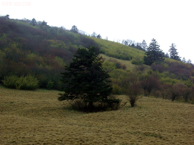 CIMG0108-.jpg