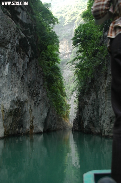 DSC_4835.JPG