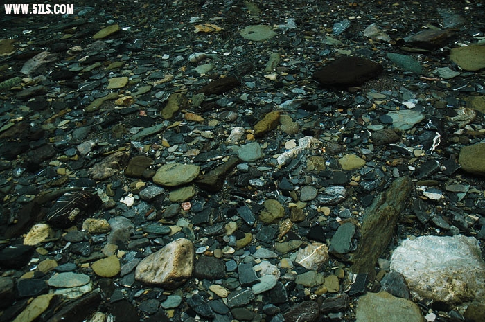 DSC_5055.JPG