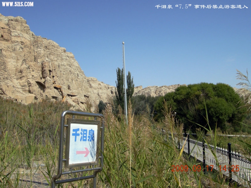 DSCN3601.JPG