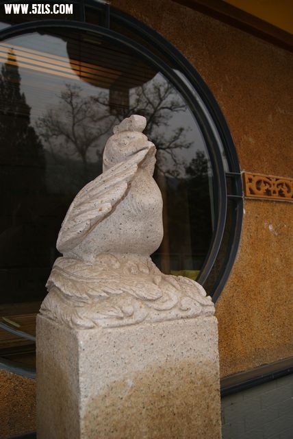 DSC01296.JPG