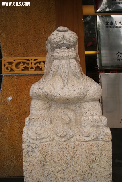 DSC01294.JPG