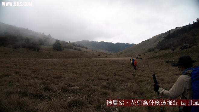 P1000492.jpg