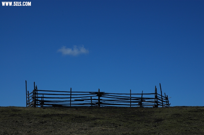 DSC_0697.JPG
