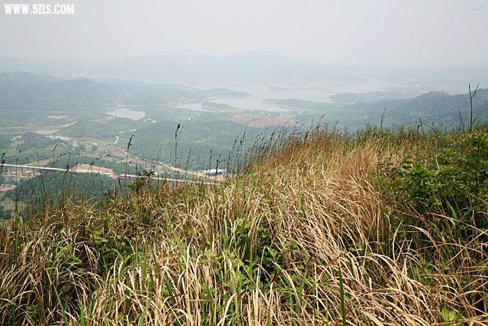 Ƭ 889.jpg