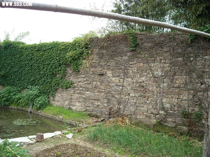 DSCN5683.jpg