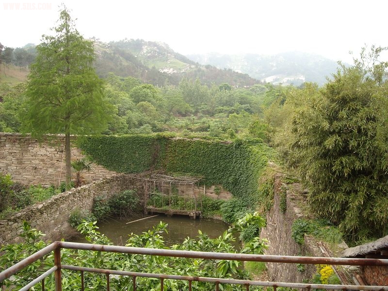 DSCN5687.jpg