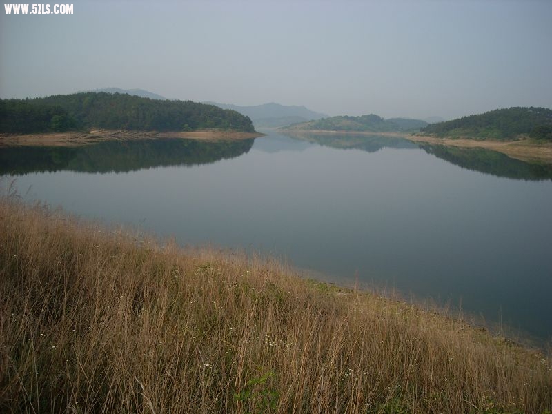 DSCN5743.jpg