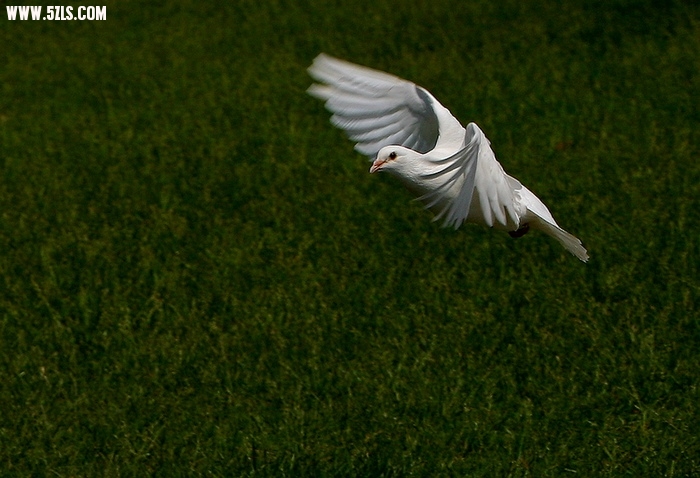 20100530_c1878d64747d8988f86fMFU3jHC8NJJo.jpg